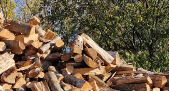 Captura de pantalla 2025 10 23 123459 1